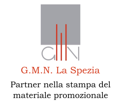logo gmn