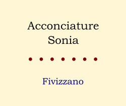 acconciature sonia