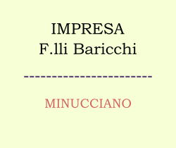 impresa baricchi